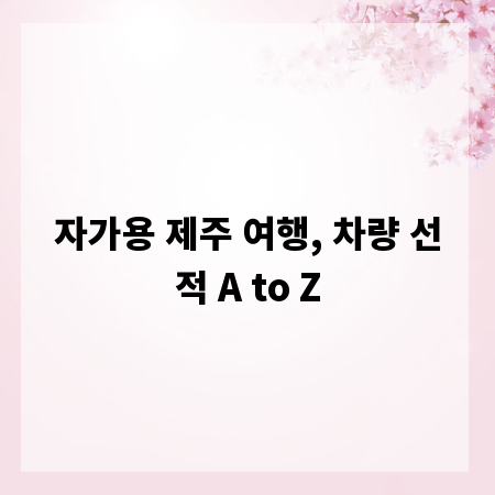 자가용 제주 여행, 차량 선적 A to Z