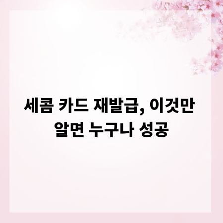 세콤 카드 재발급, 이것만 알면 누구나 성공