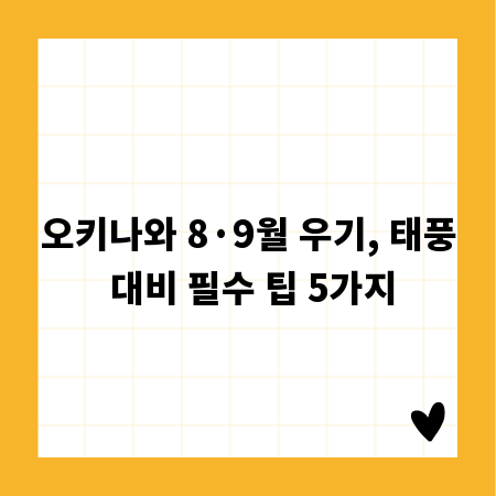 오키나와 8·9월 우기, 태풍 대비 필수 팁 5가지