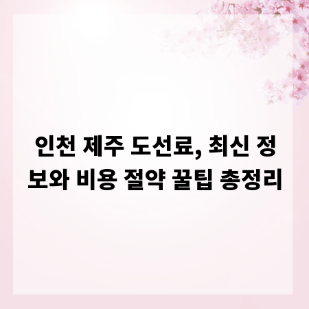 인천 제주 도선료, 최신 정보와 비용 절약 꿀팁 총정리