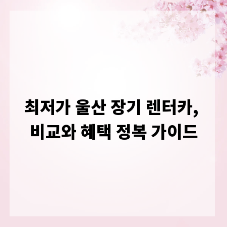 최저가 울산 장기 렌터카, 비교와 혜택 정복 가이드
