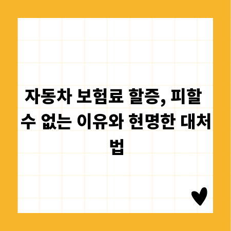 자동차 보험료 할증, 피할 수 없는 이유와 현명한 대처법