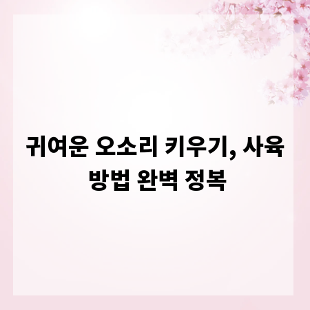 귀여운 오소리 키우기, 사육 방법 완벽 정복