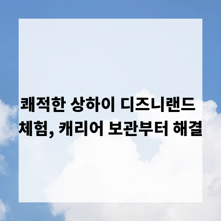 쾌적한 상하이 디즈니랜드 체험, 캐리어 보관부터 해결