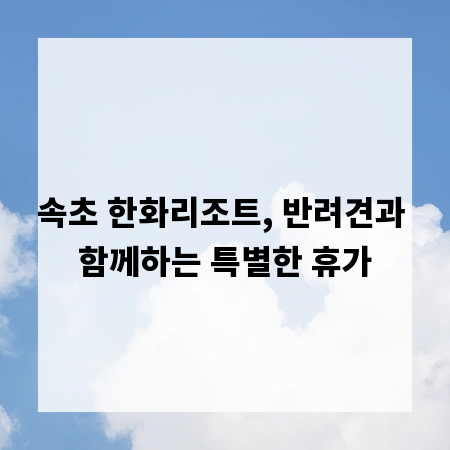 속초 한화리조트, 반려견과 함께하는 특별한 휴가