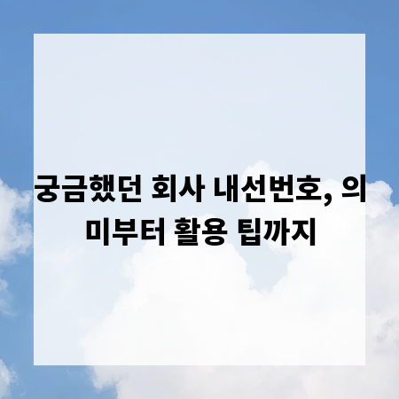 궁금했던 회사 내선번호, 의미부터 활용 팁까지